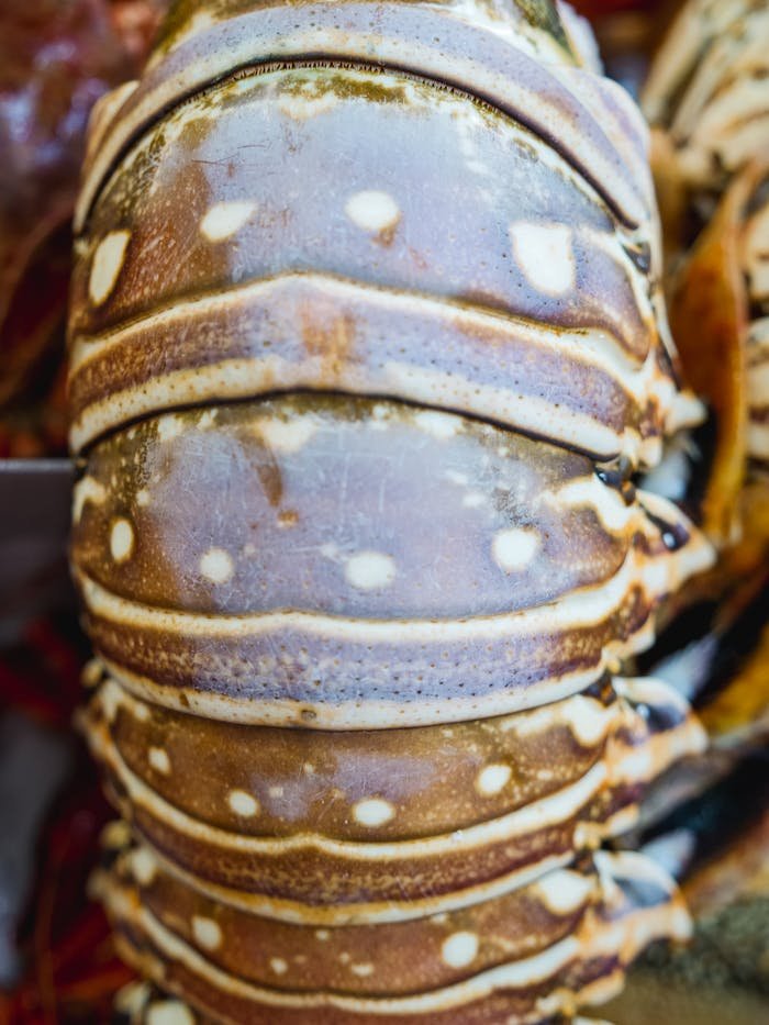 Detailed image of a fresh lobster tail showcasing texture and quality at a seafood market.