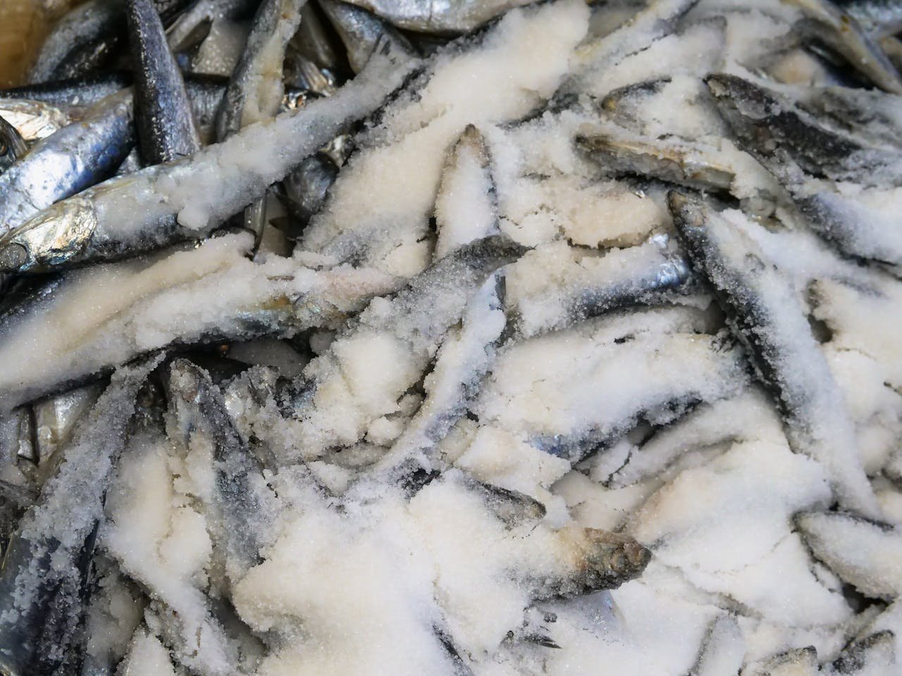 A close-up of freshly salted fish on display at a local market highlighting texture and freshness.